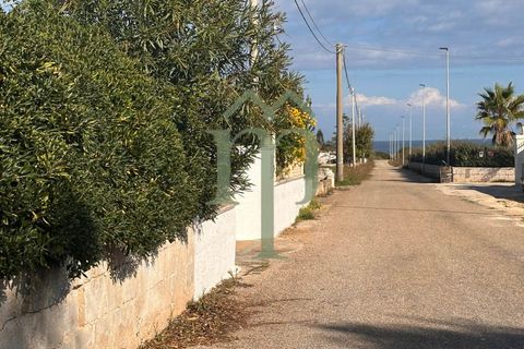 Landejendom i Carovigno, Brindisi, Carovigno - € 149.000 | Ref: Villa Guaceto - foto 24
